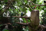 DSC_9066.JPG